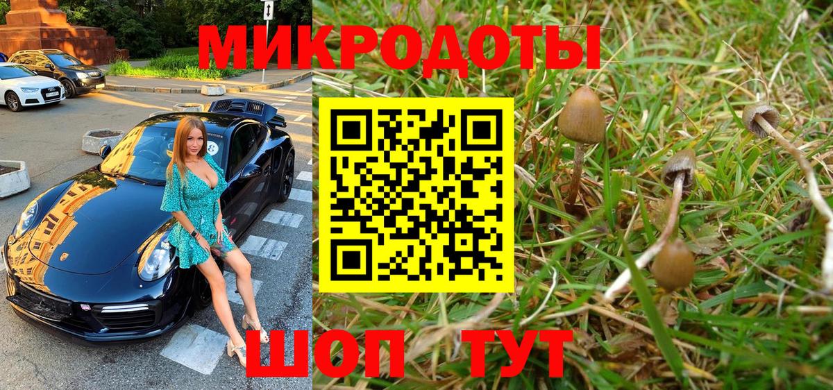 Псилоцибиновые грибы ЛСД Подольск
