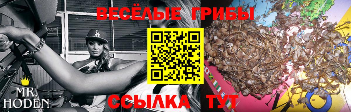 Псилоцибиновые грибы прущие грибы  Вход с VPN  Псилоцибиновые грибы Psilocybe  магазин    Подольск 
